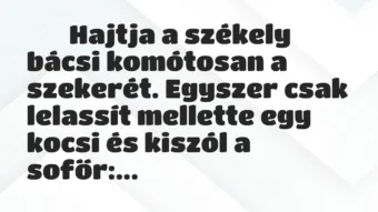 Viccek:
Hajtja a székely bácsi komótosan a szekerét…. Viccek:
Hajtja a székely bácsi komótosan a szekerét….