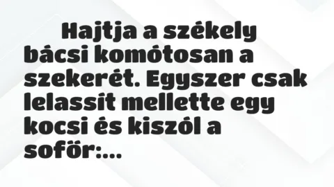 Viccek: 
		  
		  Hajtja a székely bácsi komótosan a szekerét….