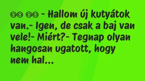 Viccek: 
		  
		  – Hallom új kutyátok van.- Igen, de csak a…
