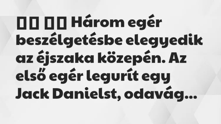Viccek:
Három egér beszélgetésbe elegyedik az éjszaka… Viccek:
Három egér beszélgetésbe elegyedik az éjszaka…
