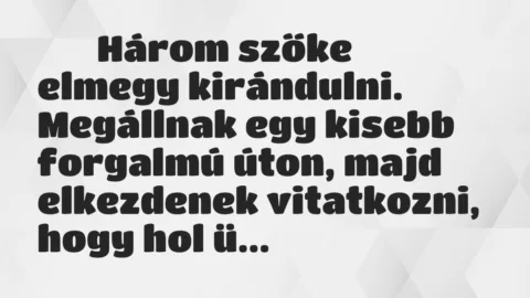 Viccek: 
		  
		  Három szőke elmegy kirándulni. Megállnak egy…