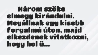 Viccek:
Három szőke elmegy kirándulni. Megállnak egy… Viccek:
Három szőke elmegy kirándulni. Megállnak egy…