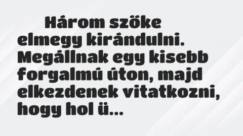 Viccek: 
		  
		  Három szőke elmegy kirándulni. Megállnak egy…