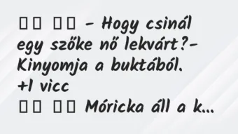 Viccek: 
		  
		  – Hogy csinál egy szőke nő lekvárt?- Kinyomja…