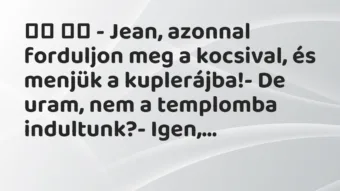 Viccek:
– Jean, azonnal forduljon meg a kocsival, és… Viccek:
– Jean, azonnal forduljon meg a kocsival, és…