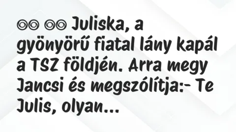Viccek: 
		  
		  Juliska, a gyönyörű fiatal lány kapál a TSZ…