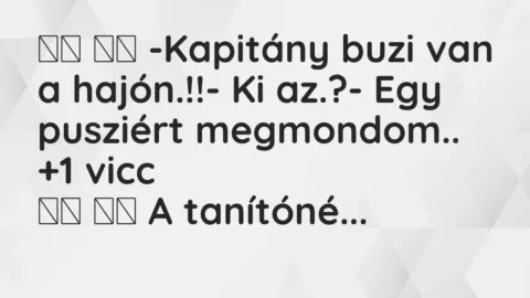 Viccek: 
		  
		  -Kapitány buzi van a hajón.!!- Ki az.?-…