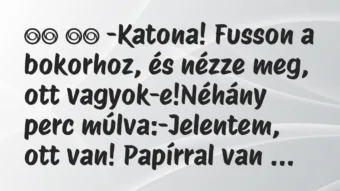 Viccek: 
		  
		  -Katona! Fusson a bokorhoz, és nézze meg, ott…