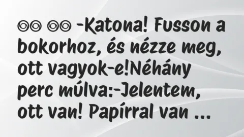 Viccek:
-Katona! Fusson a bokorhoz, és nézze meg, ott… Viccek:
-Katona! Fusson a bokorhoz, és nézze meg, ott…