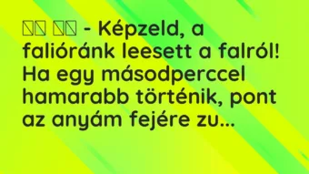 Viccek: 
		  
		  – Képzeld, a falióránk leesett a falról! Ha egy…