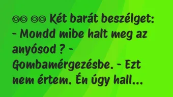 Viccek: 
		  
		  Két barát beszélget: – Mondd mibe halt meg az…