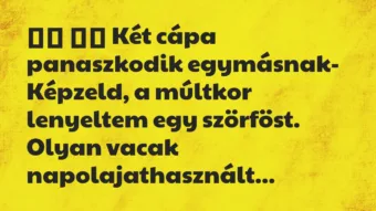Viccek: 
		  
		  Két cápa panaszkodik egymásnak- Képzeld, a…
