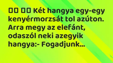 Viccek: 
		  
		  Két hangya egy-egy kenyérmorzsát tol azúton. …