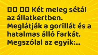 Viccek:
Két meleg sétál az állatkertben. Meglátják a… Viccek:
Két meleg sétál az állatkertben. Meglátják a…