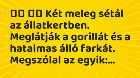 Viccek: 
		  
		  Két meleg sétál az állatkertben. Meglátják a…