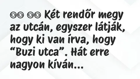 Viccek: 
		  
		  Két rendőr megy az utcán, egyszer látják, hogy ki…