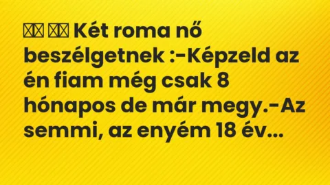 Viccek: 
		  
		  Két roma nő beszélgetnek :-Képzeld az én fiam…