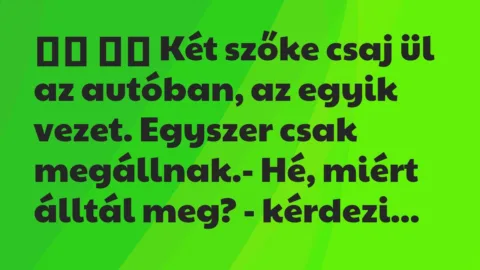 Viccek: 
		  
		  Két szőke csaj ül az autóban, az egyik vezet….