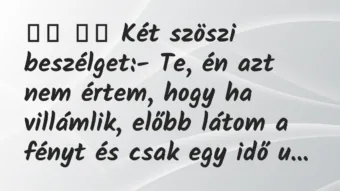 Viccek: 
		  
		  Két szöszi beszélget:- Te, én azt nem értem, …