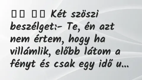Viccek: 
		  
		  Két szöszi beszélget:- Te, én azt nem értem, …
