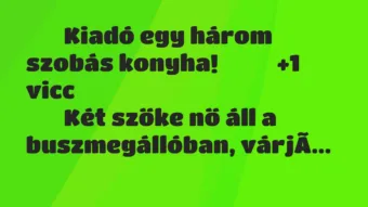 Viccek:
Kiadó egy három szobás konyha! … Viccek:
Kiadó egy három szobás konyha! …