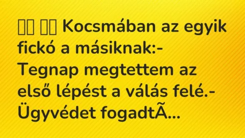 Viccek: 
		  
		  Kocsmában az egyik fickó a másiknak:- Tegnap …