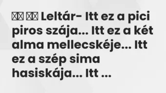 Viccek: 
		  
		  Leltár- Itt ez a pici piros szája… Itt ez a…