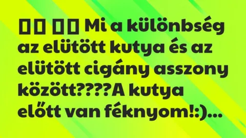 Viccek: 
		  
		  Mi a különbség az elütött kutya és az elütött…