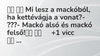 Viccek:
Mi lesz a mackóból, ha kettévágja a vonat?-… Viccek:
Mi lesz a mackóból, ha kettévágja a vonat?-…
