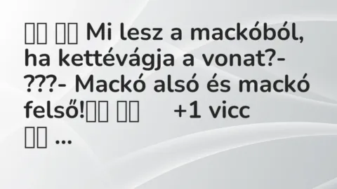 Viccek:
Mi lesz a mackóból, ha kettévágja a vonat?-… Viccek:
Mi lesz a mackóból, ha kettévágja a vonat?-…