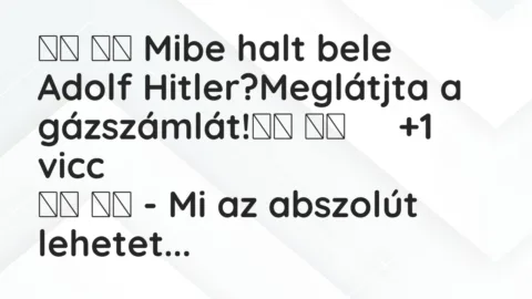 Viccek: 
		  
		  Mibe halt bele Adolf Hitler?Meglátjta a…