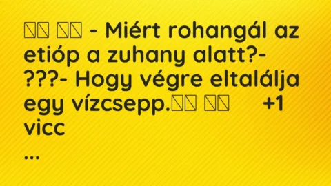 Viccek: 
		  
		  – Miért rohangál az etióp a zuhany alatt?-…