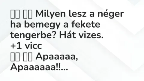 Viccek: 
		  
		  Milyen lesz a néger ha bemegy a fekete tengerbe? …
