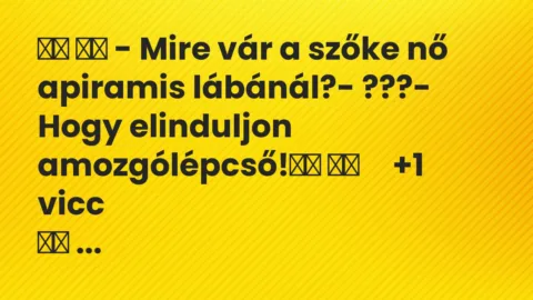 Viccek: 
		  
		  – Mire vár a szőke nő apiramis lábánál?- …
