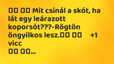 Viccek: 
		  
		  Mit csinál a skót, ha lát egy leárazott…