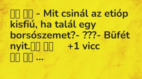 Viccek: 
		  
		  – Mit csinál az etióp kisfiú, ha talál egy…