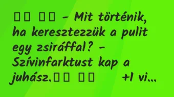 Viccek: 
		  
		  – Mit történik, ha keresztezzük a pulit egy…