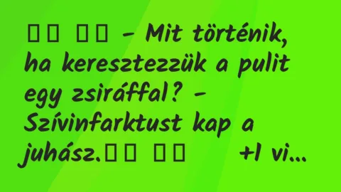 Viccek: 
		  
		  – Mit történik, ha keresztezzük a pulit egy…
