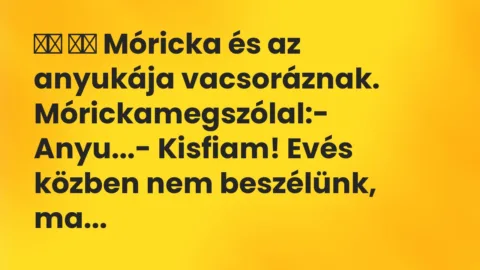 Viccek: 
		  
		  Móricka és az anyukája vacsoráznak….