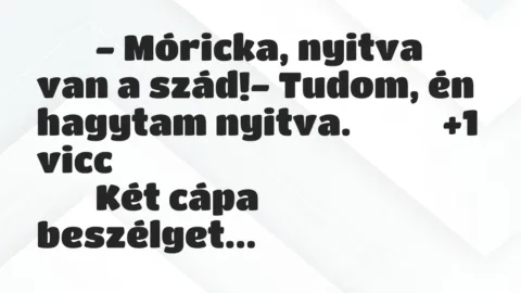 Viccek: 
		  
		  – Móricka, nyitva van a szád!- Tudom, én…