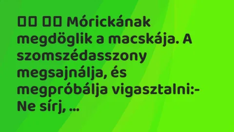 Viccek: 
		  
		  Mórickának megdöglik a macskája. A…