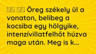 Viccek: 
		  
		  Öreg székely ül a vonaton, belibeg a kocsiba egy …