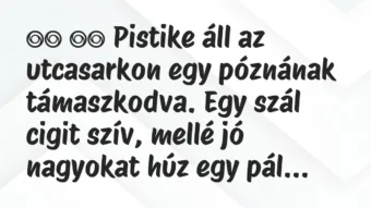 Viccek:
Pistike áll az utcasarkon egy póznának… Viccek:
Pistike áll az utcasarkon egy póznának…