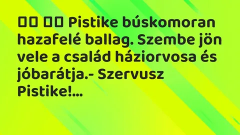Viccek: 
		  
		  Pistike búskomoran hazafelé ballag. Szembe jön…
