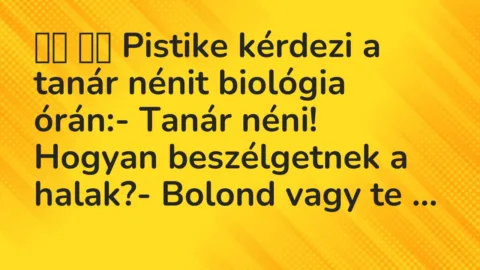 Viccek: 
		  
		  Pistike kérdezi a tanár nénit biológia órán:-…
