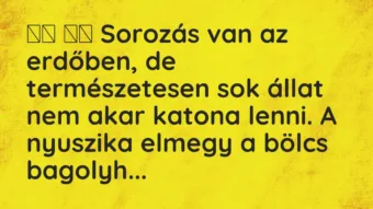 Viccek: 
		  
		  Sorozás van az erdőben, de természetesen sok…