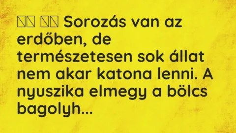 Viccek: 
		  
		  Sorozás van az erdőben, de természetesen sok…
