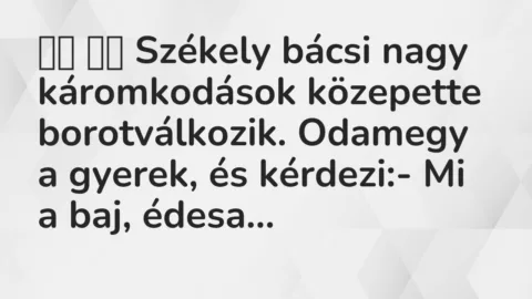 Viccek: 
		  
		  Székely bácsi nagy káromkodások közepette…