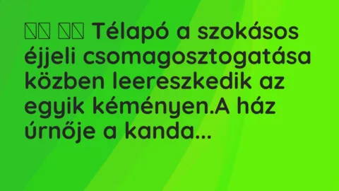 Viccek: 
		  
		  Télapó a szokásos éjjeli csomagosztogatása közben…