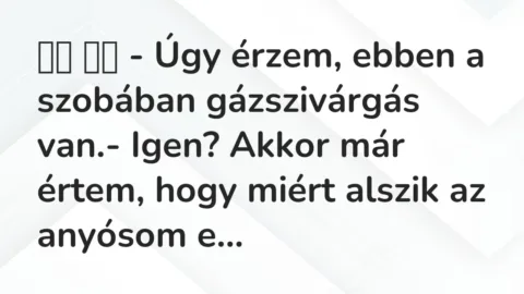Viccek: 
		  
		  – Úgy érzem, ebben a szobában gázszivárgás…
